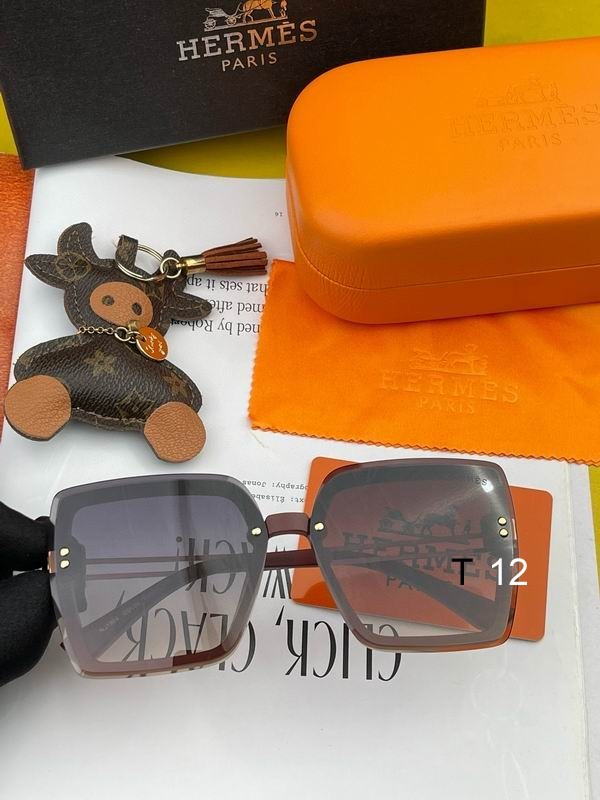 Hermes Sunglasses 55